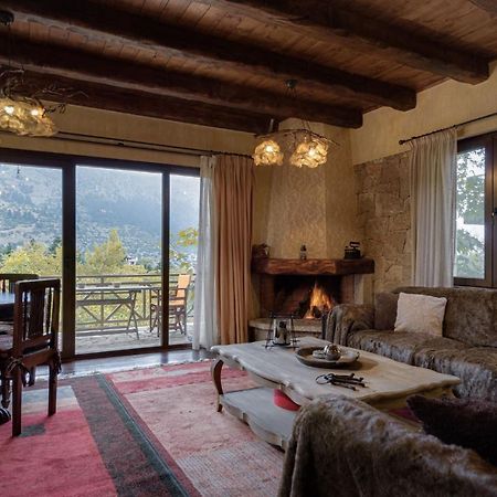 Parnassus Dreamwood Chalet Eptálofos Екстериор снимка