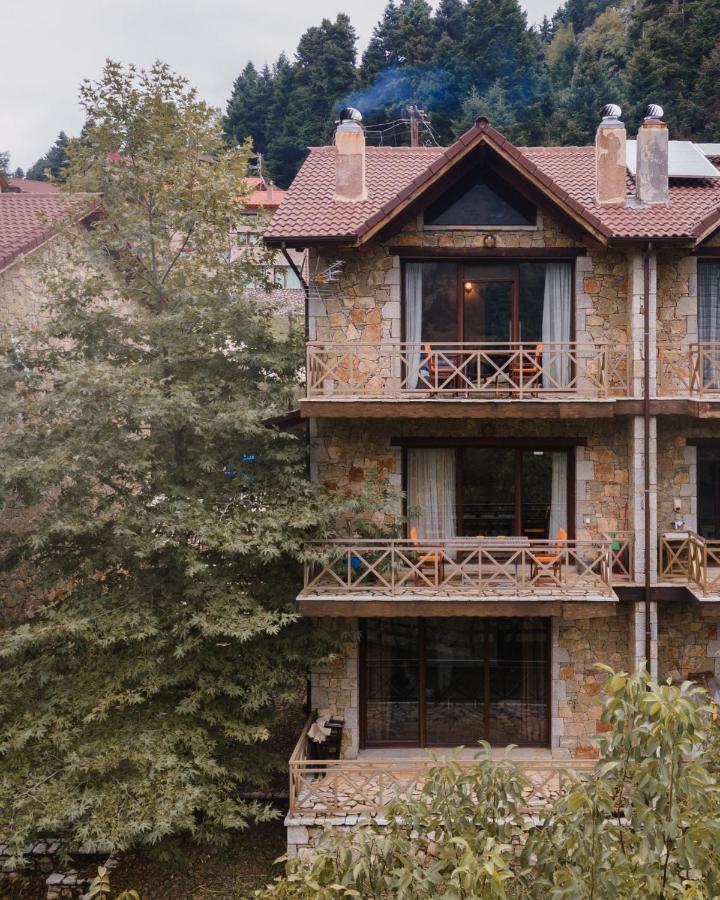 Parnassus Dreamwood Chalet Eptálofos Екстериор снимка